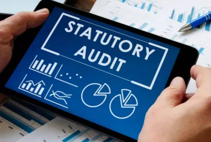 Statutory Audit