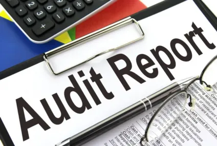 Audit Report